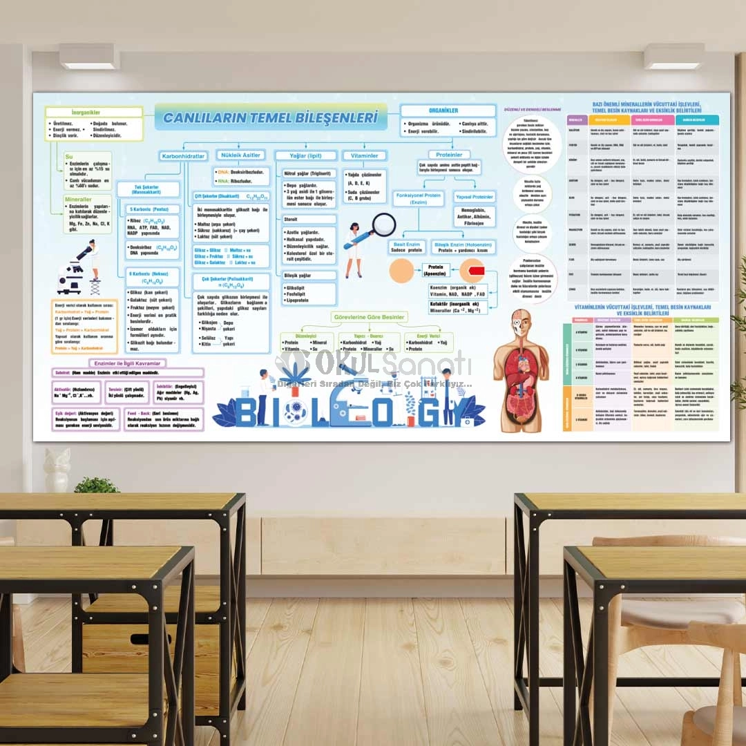 Canlıların Temel Bileşenleri Biyoloji Okul Posteri