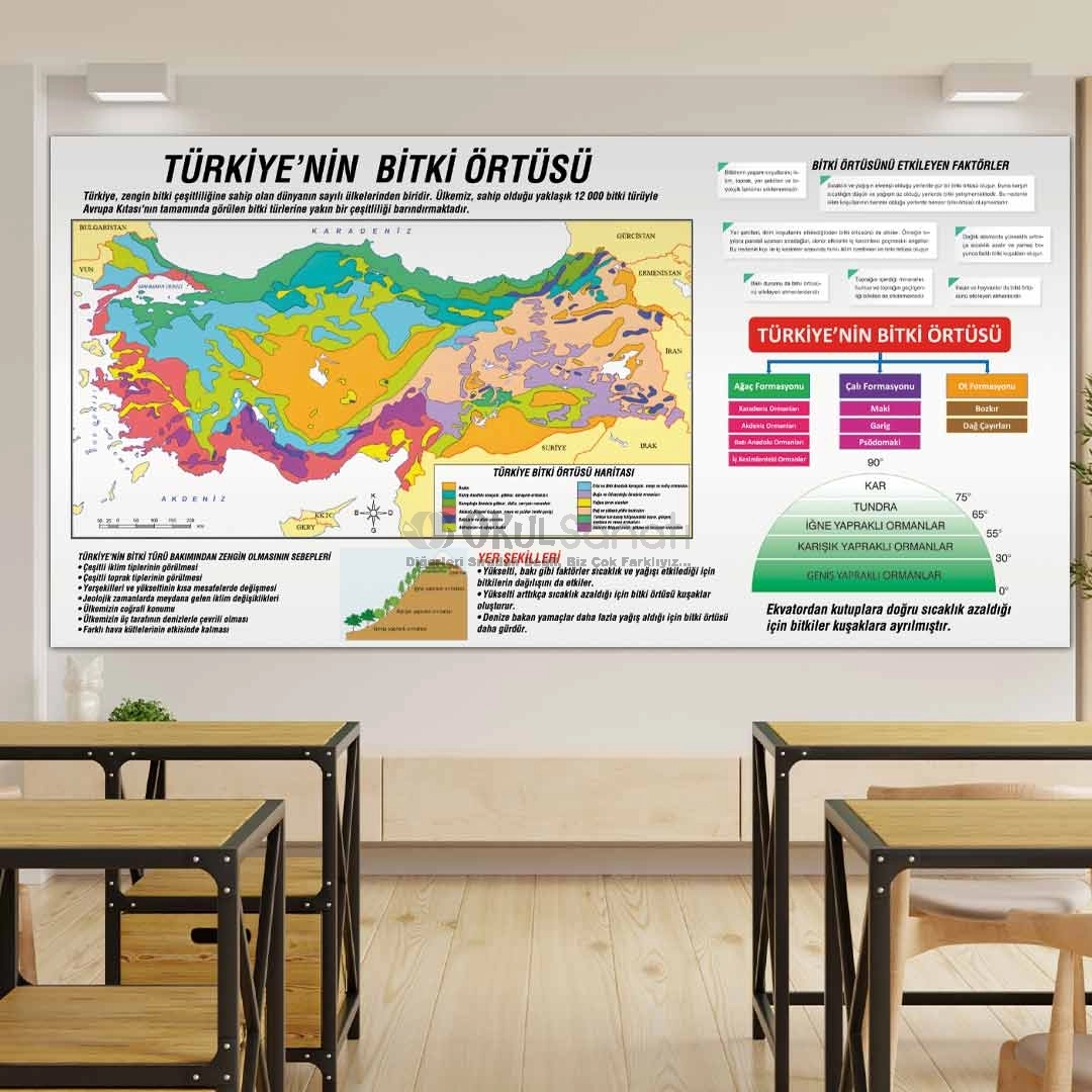 Türkiye’nin Bitki Örtüsü Coğrafya Okul Posteri