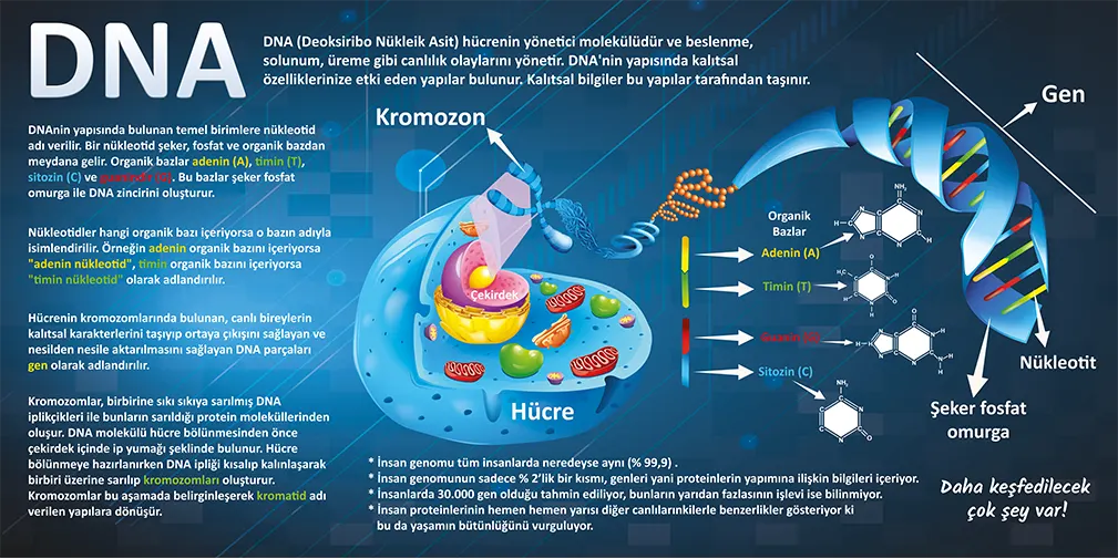 DNA Okul Görselleri