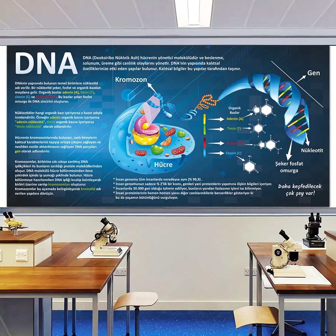 DNA Okul Görselleri