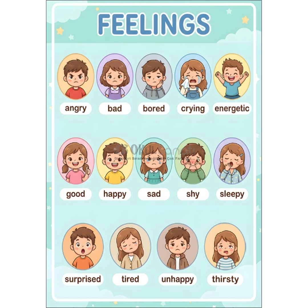 İngilizce Duygular & Feelings Posteri