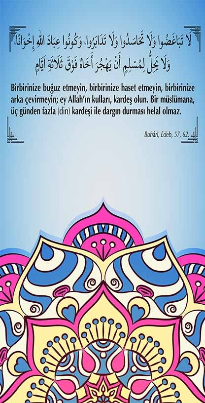 İmam Hatip Kapı Giydirme 4