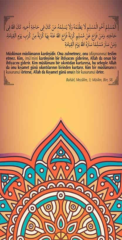 İmam Hatip Kapı Giydirme 7
