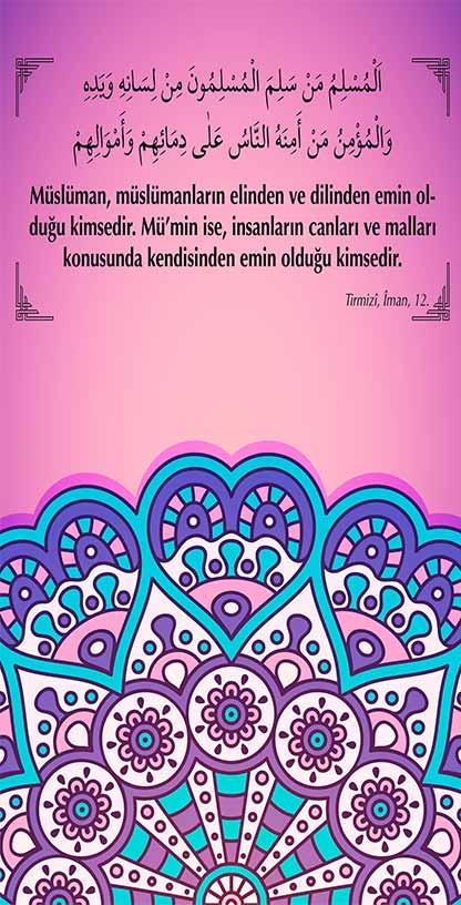 İmam Hatip Kapı Giydirme 16