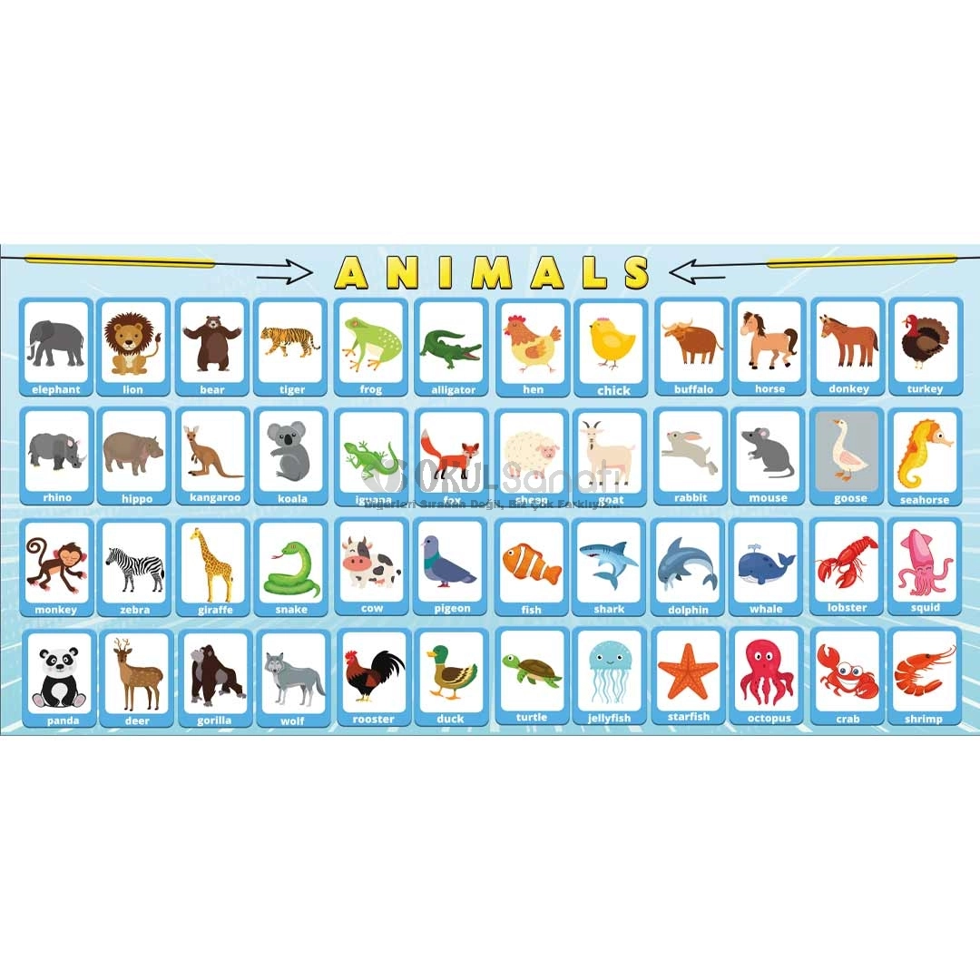 İngilizce Animals Okul Posteri