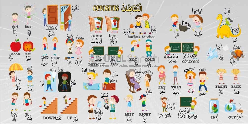 İngilizce ve Arapça Zıt Anlamlı Kelimeler Okul Posteri