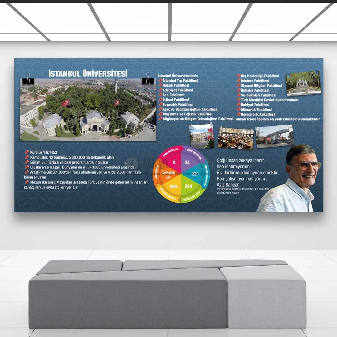 İstanbul Üniversitesi Tanıtım Okul Posteri