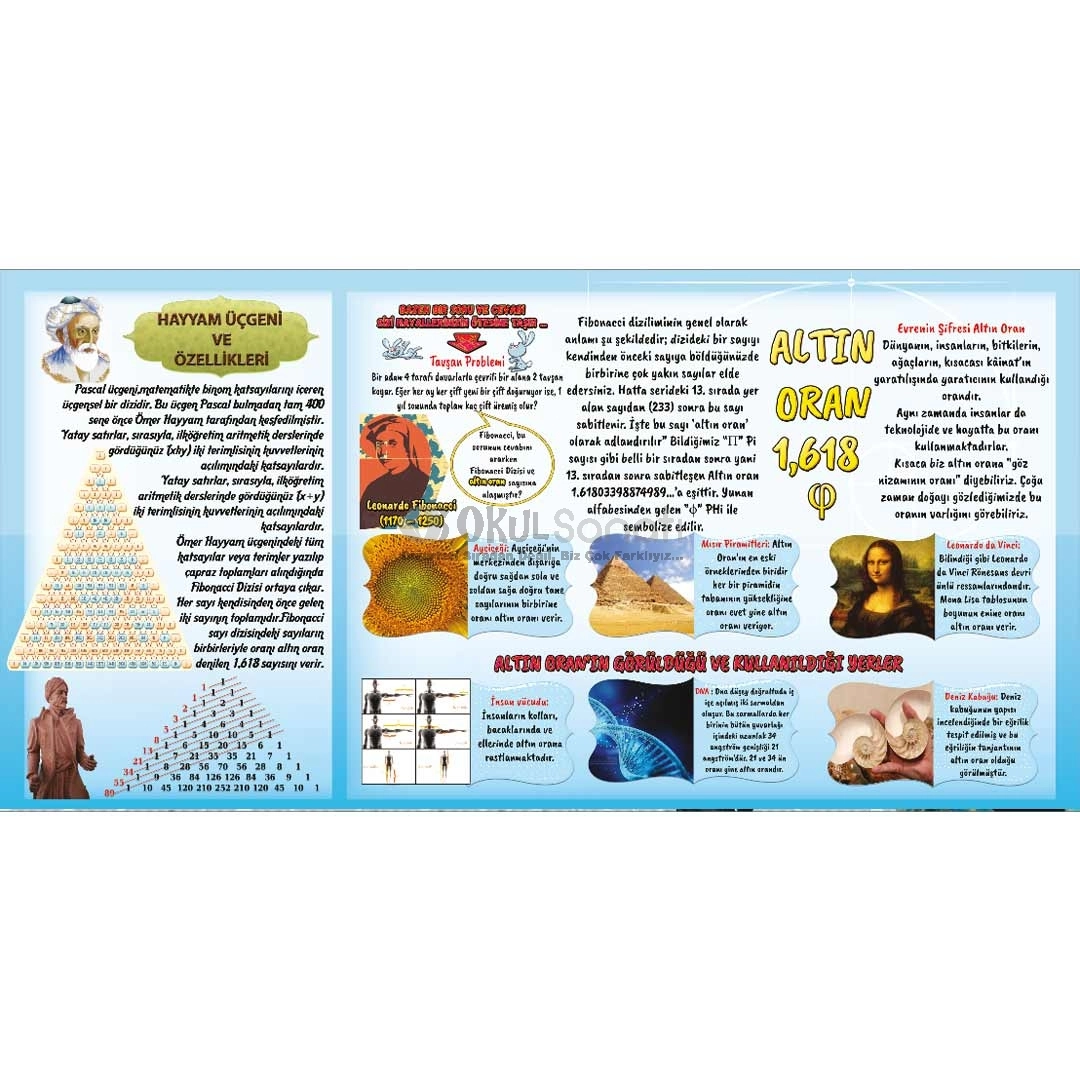 Altın Oran Matematik Okul Posteri