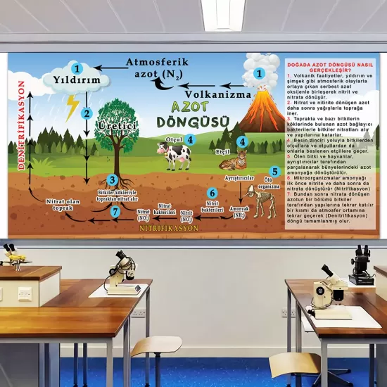 Fen Bilimleri Posterleri, Biyoloji Posterleri