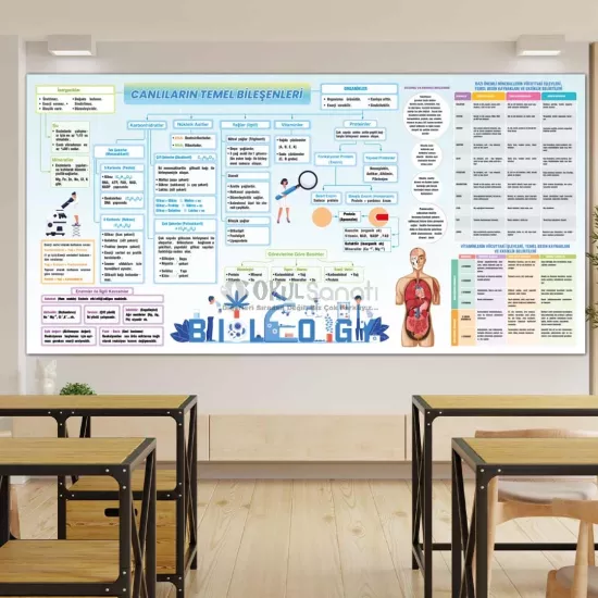 Biyoloji Dersi Okul Posteri | Canlıların Temel Bileşenleri 