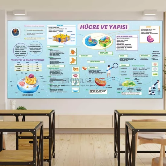 Biyoloji Dersi Okul Posteri | Hücre ve Yapısı