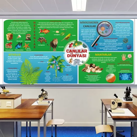 Fen Bilimleri Posterleri, Biyoloji Posterleri