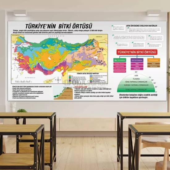 Coğrafya Okul Posteri | Türkiye’nin Bitki Örtüsü