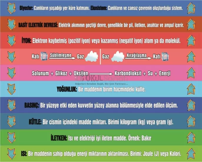 Fen Bilimleri Okul Merdiven Yazısı | Kavramlar