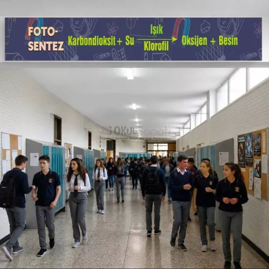 Fen Bilimleri Okul Kiriş Yazısı | Fotosentez