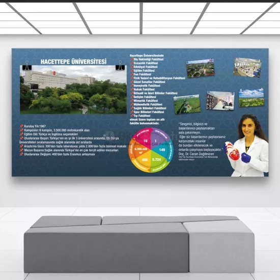 Hacettepe Üniversitesi Tanıtım Okul Posteri