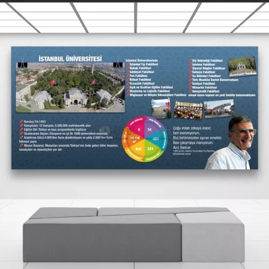 İstanbul Üniversitesi Tanıtım Okul Posteri