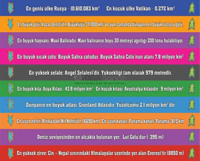 Fen Bilimleri Okul Merdiven Yazısı | Dünyanın Enleri