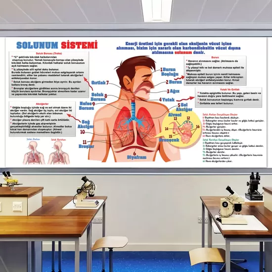 Fen Bilimleri Posterleri, Biyoloji Posterleri