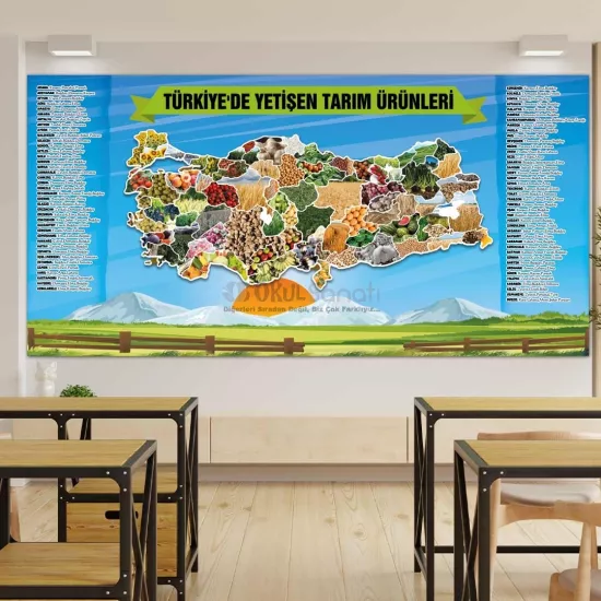 Sosyal Bilgiler Okul Posteri | Türkiye’de Yetişen Tarım Ürünleri 