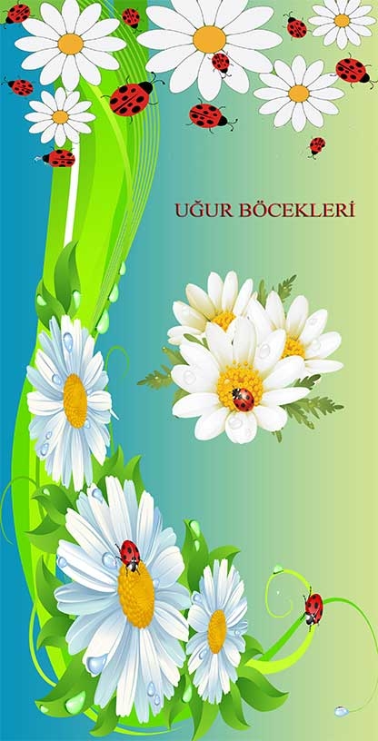 Uğur Böcekleri Anasınıfı Kapı Giydirme