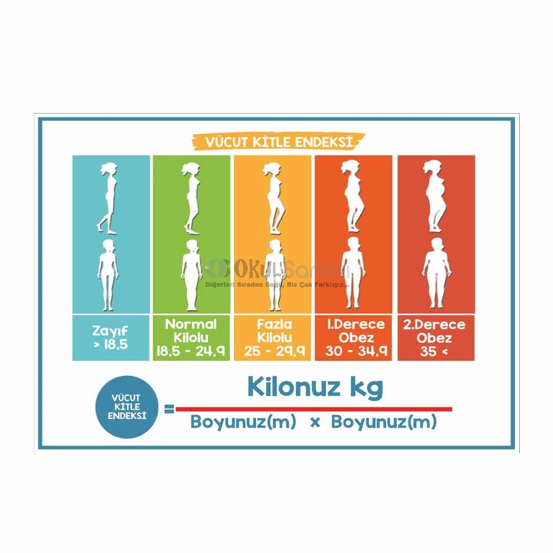 Vücut Kitle Endeksi Rehberlik ve Sağlık Okul Posteri